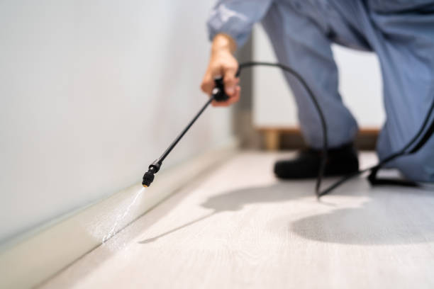 Licensed Pest Control service in Canterwood, WA - Show Me Pest Control