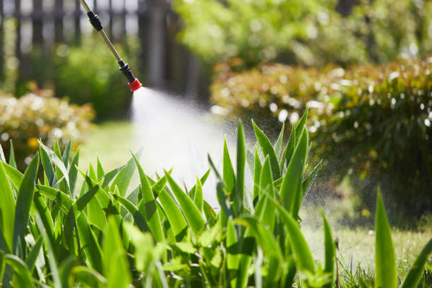 24/7 Emergency Wasp Removal experts in Canterwood, WA